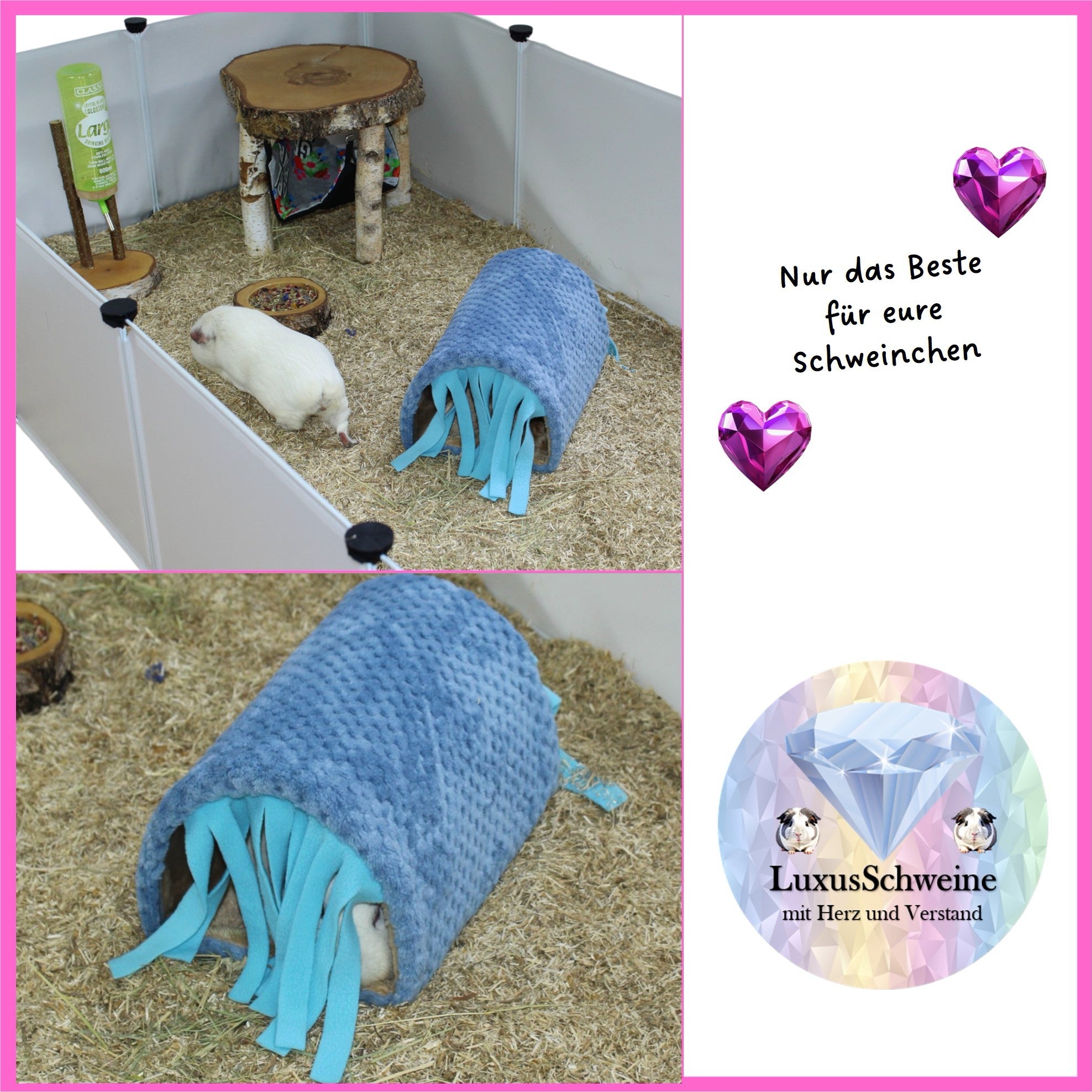 💧🌈 Waschstraße Blau – Bunter Kuschelspaß für deine Meerschweinchen!