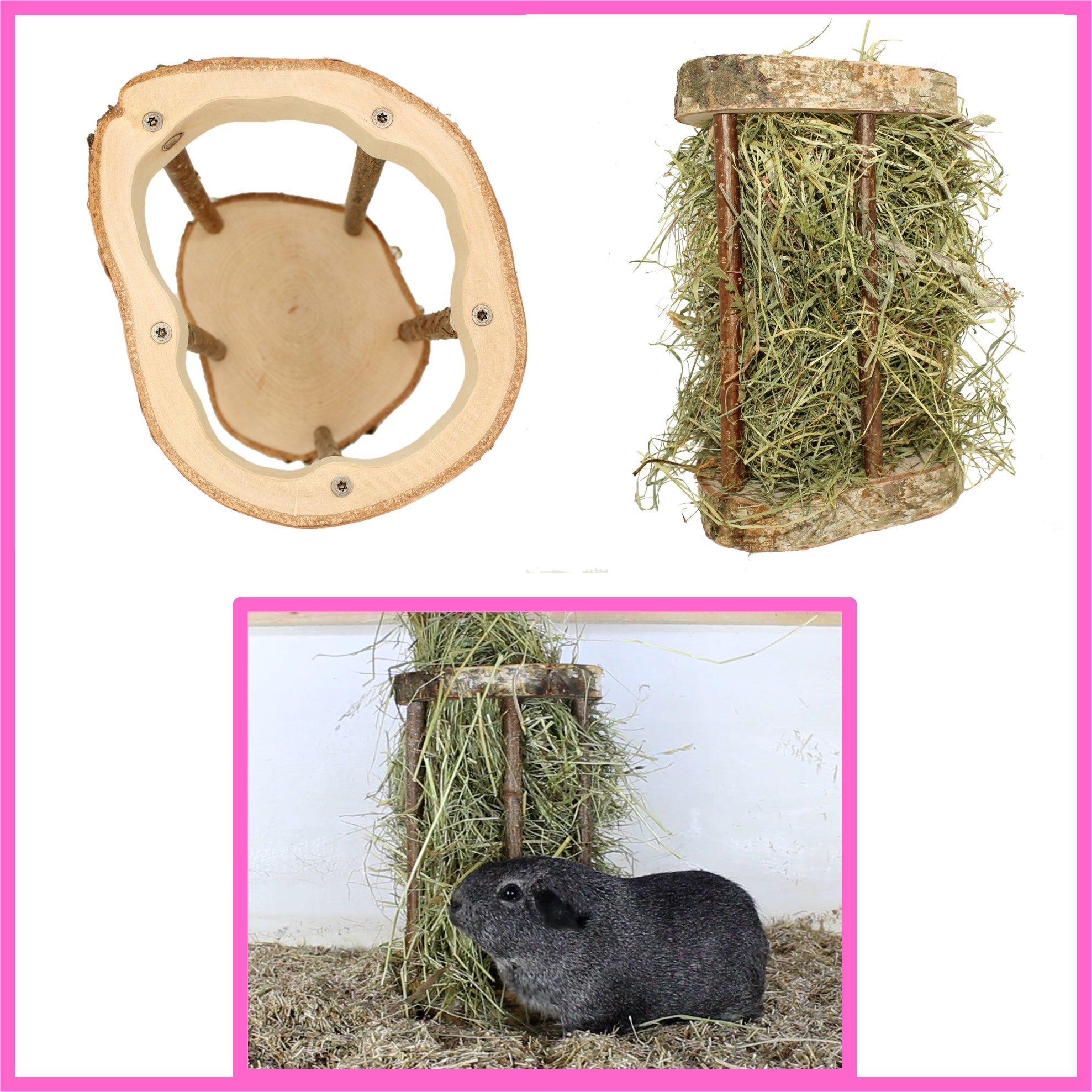 🐹 Heuraufe Easy One – Artgerechter Heugenuss ohne Gitterstress