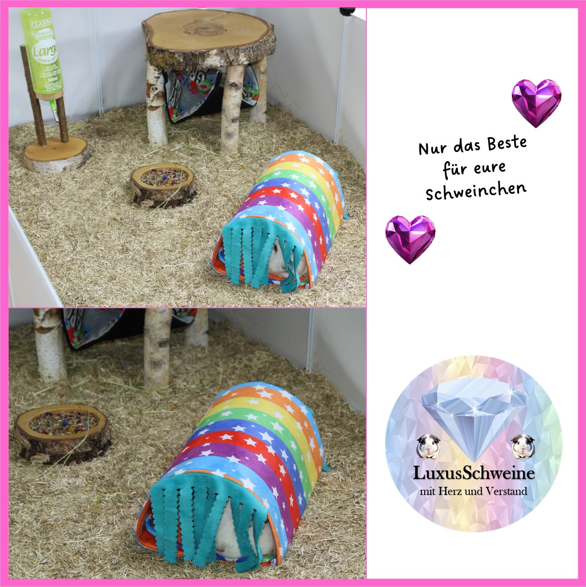 🌈🧼 Waschstraße Regenbogen – Farbe, Freude & Kuschelfaktor für deine Meerschweinchen!