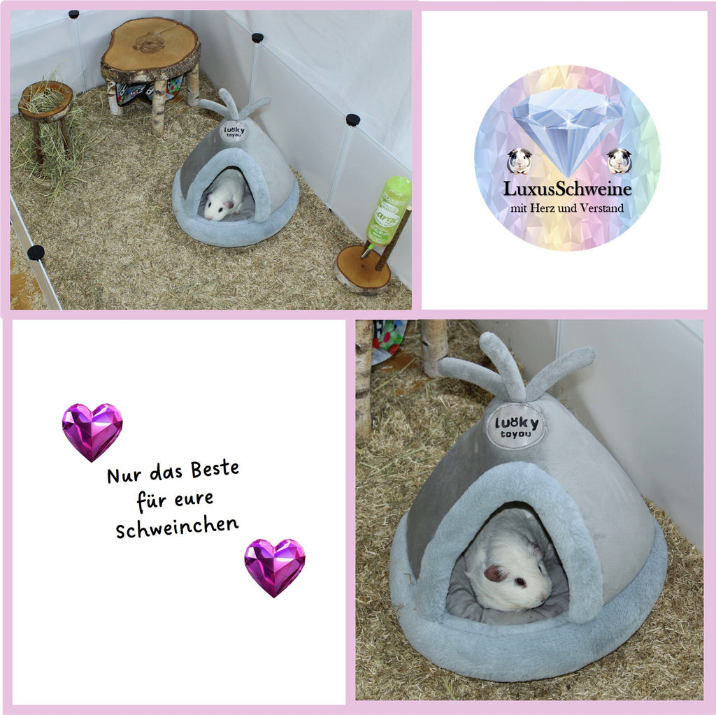 ⛺ Tipi – Kuschelhütte im Indianer-Style für Meerschweinchen