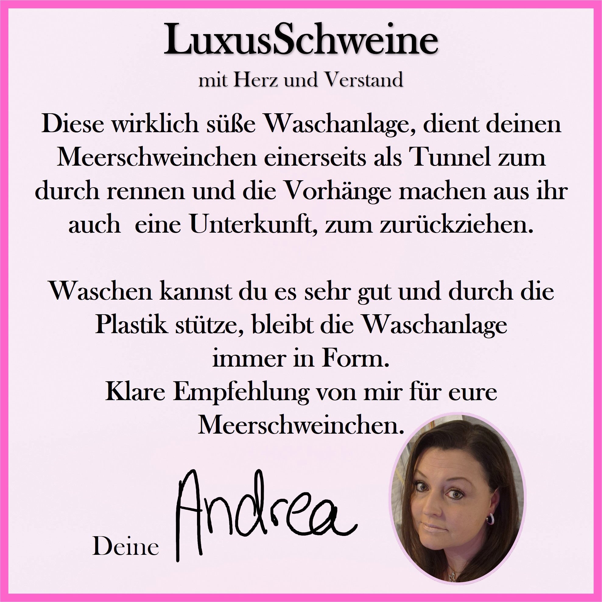 💧🌈 Waschstraße Blau – Bunter Kuschelspaß für deine Meerschweinchen!