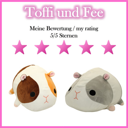 Meerschweine Toffi und Fee