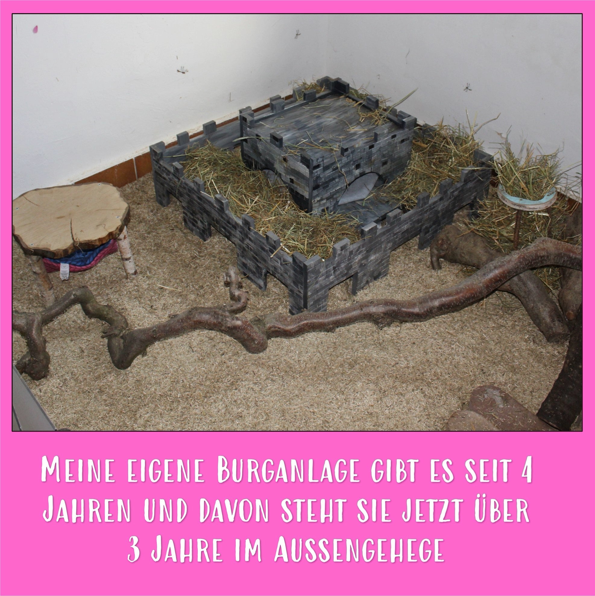 🏰 Die Burg XL – Majestätische Unterkunft für deine Meerschweinchen