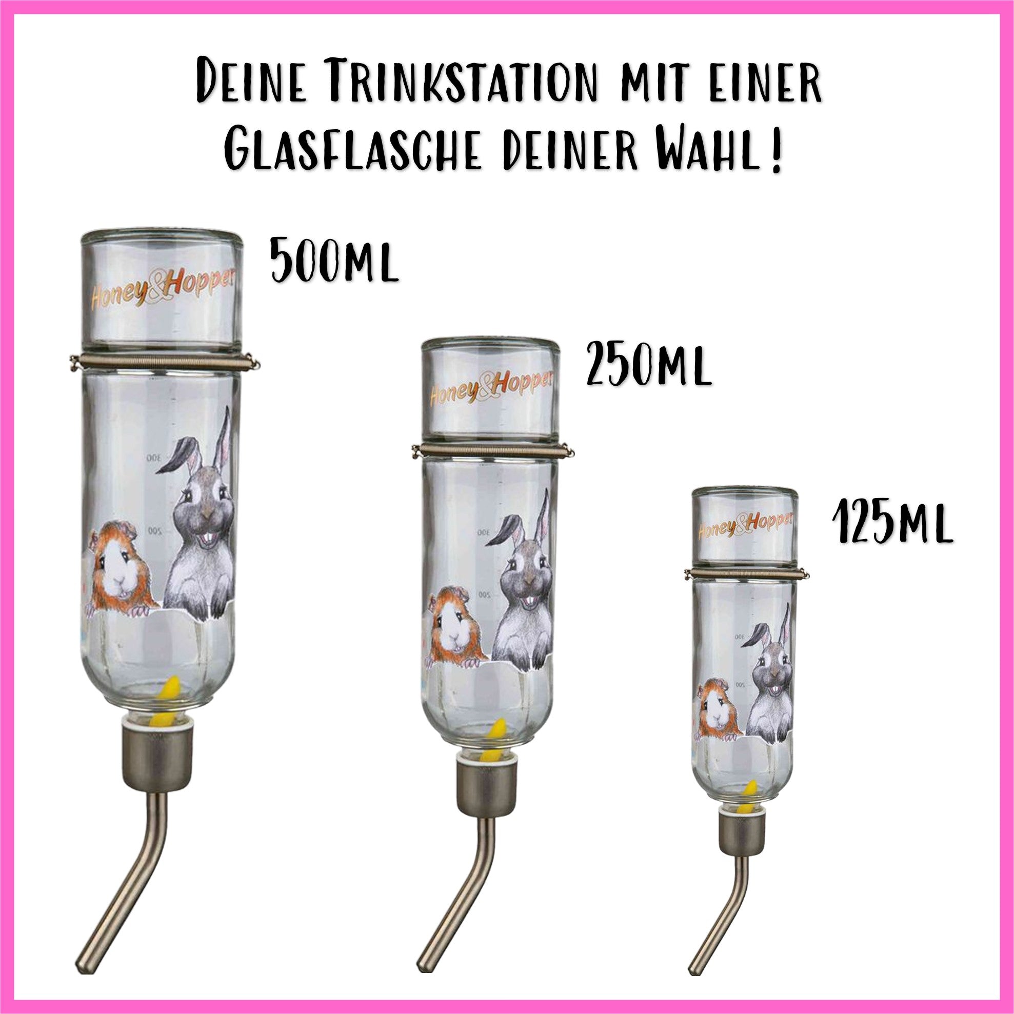 💦 Trinkstation für Meerschweinchen + Glasflasche