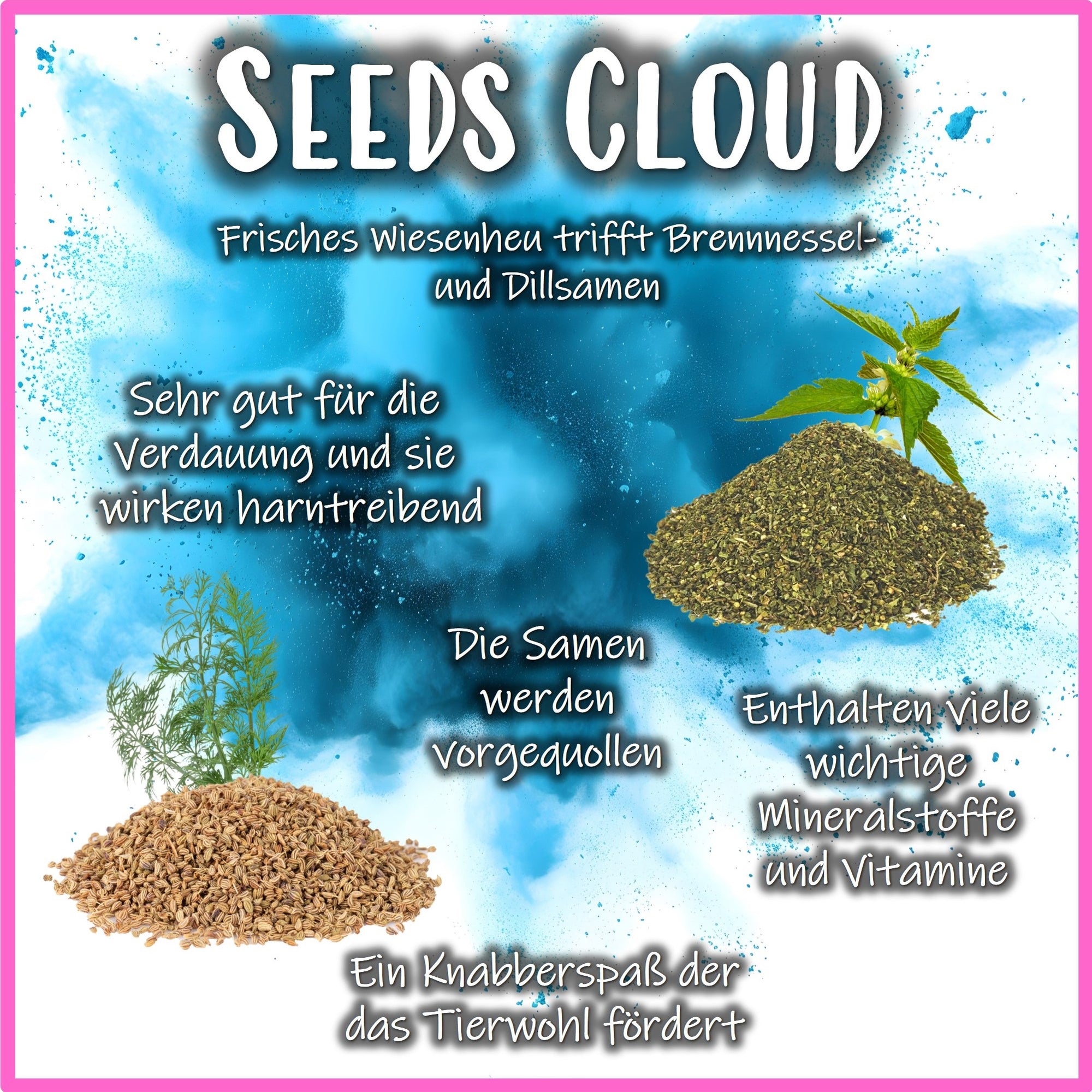 🔵 Snack Balls Seeds Cloud – Superfood-Snack für Meerschweinchen
