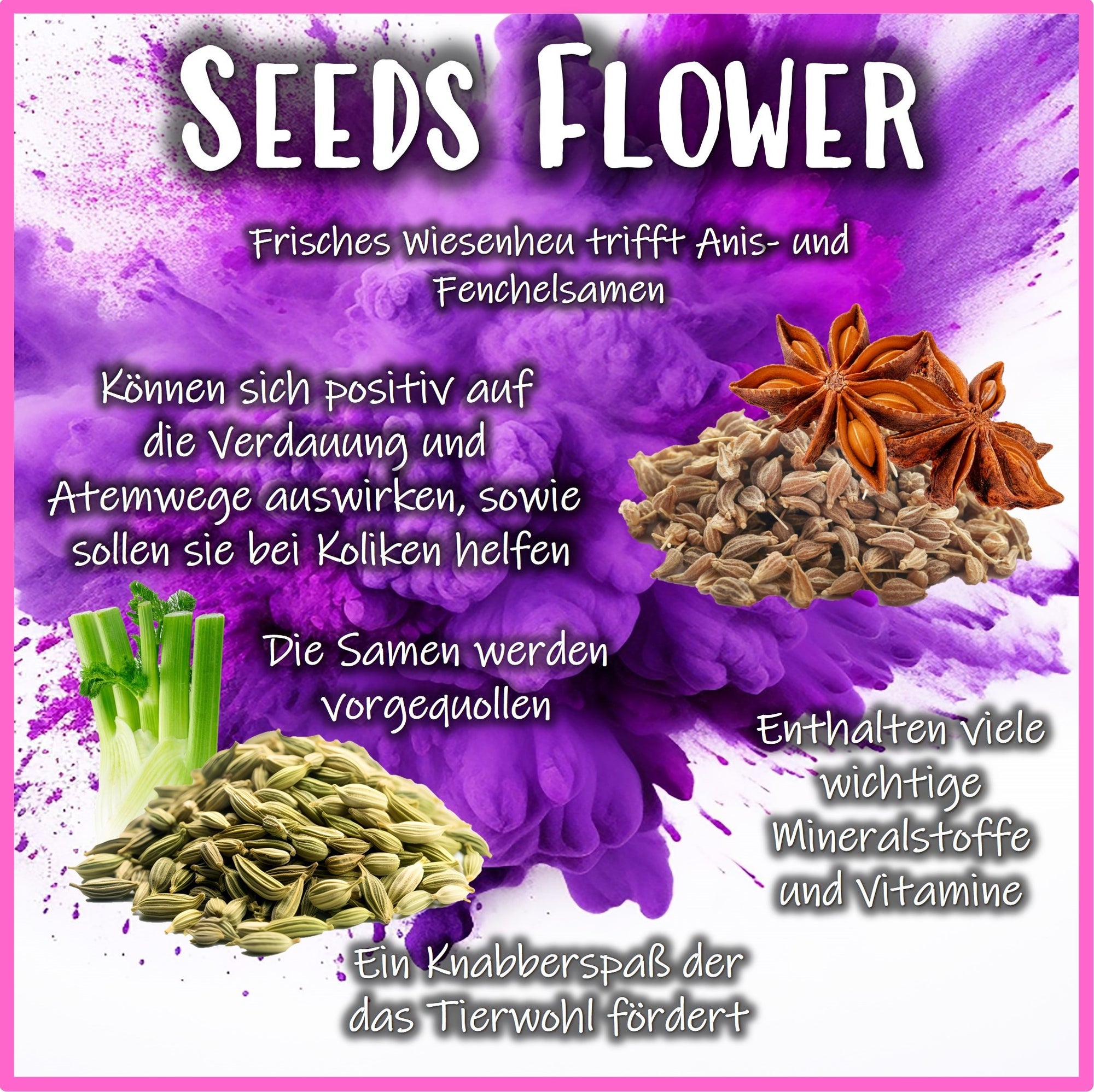 🟣 Snack Balls Seeds Flower – natürliche Verwöhnsnacks für Meerschweinchen