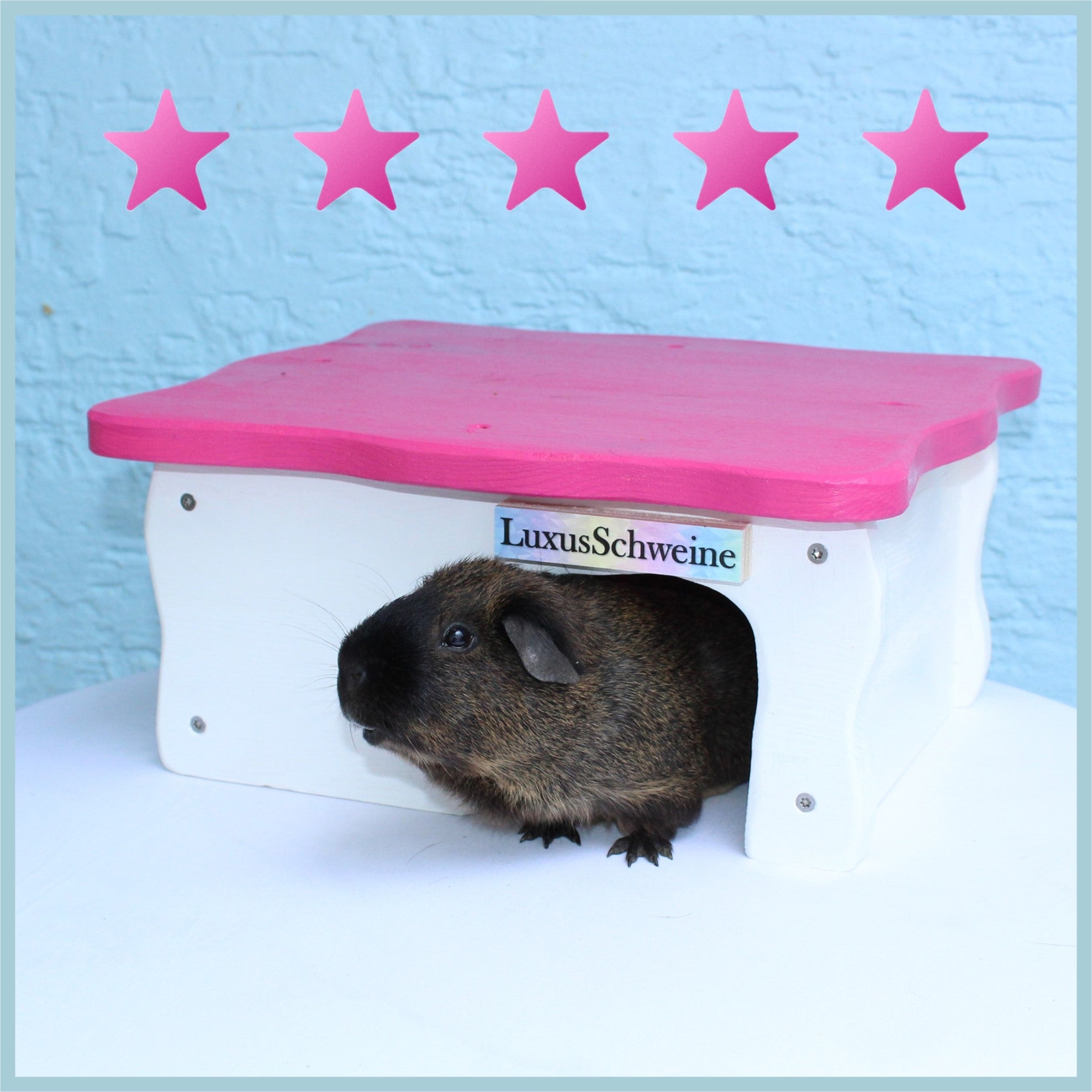 🏡✨ Luxushaus 1.0 – Weil dein Meerschweinchen mehr verdient!