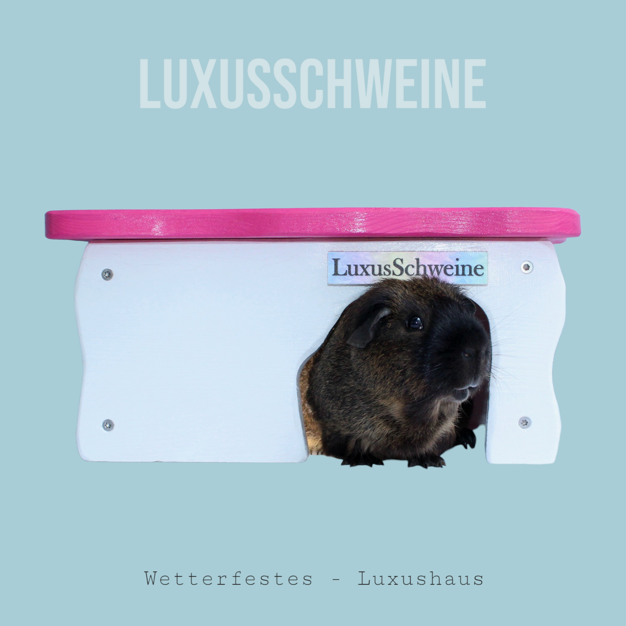🏡✨ Luxushaus 1.0 – Weil dein Meerschweinchen mehr verdient!