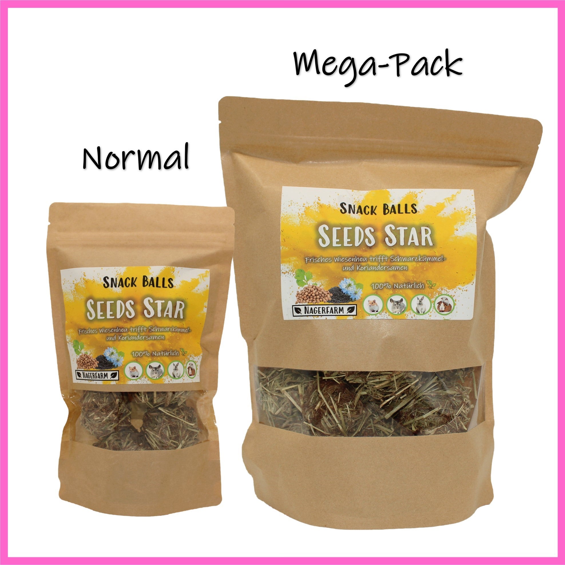 🟡 Snack Balls Seeds Star – kraftvolle Saaten-Snacks für Meerschweinchen
