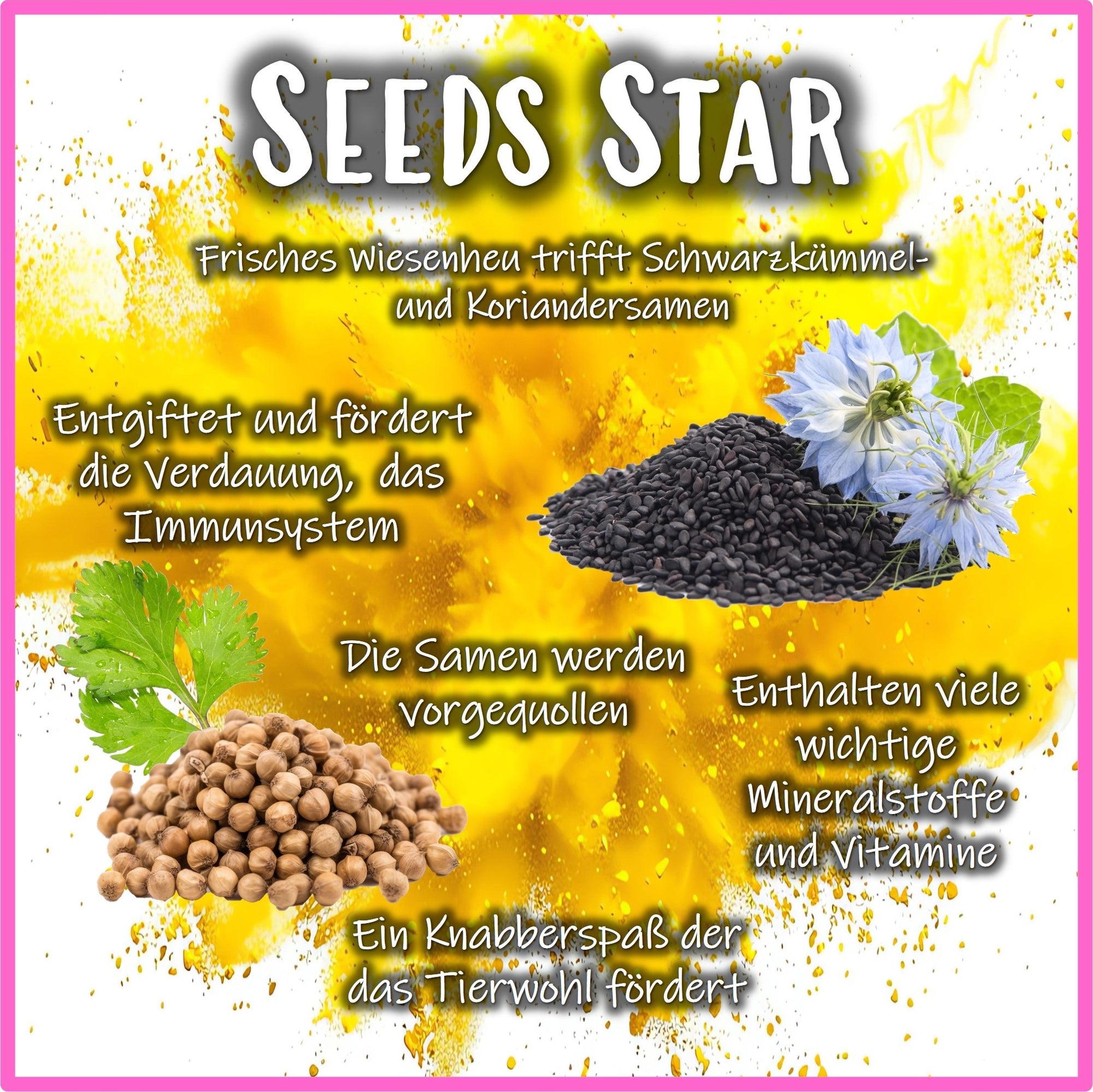 🟡 Snack Balls Seeds Star – kraftvolle Saaten-Snacks für Meerschweinchen
