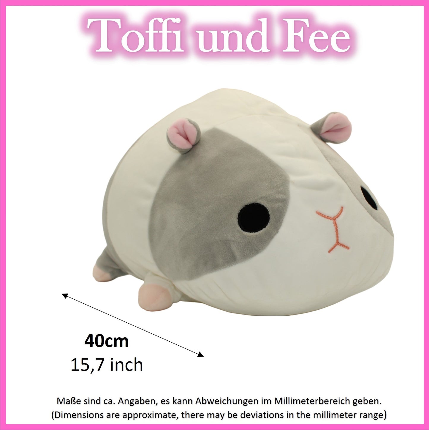 Meerschweine Toffi und Fee