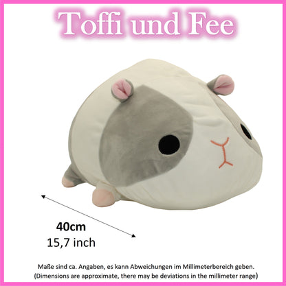 Meerschweine Toffi und Fee