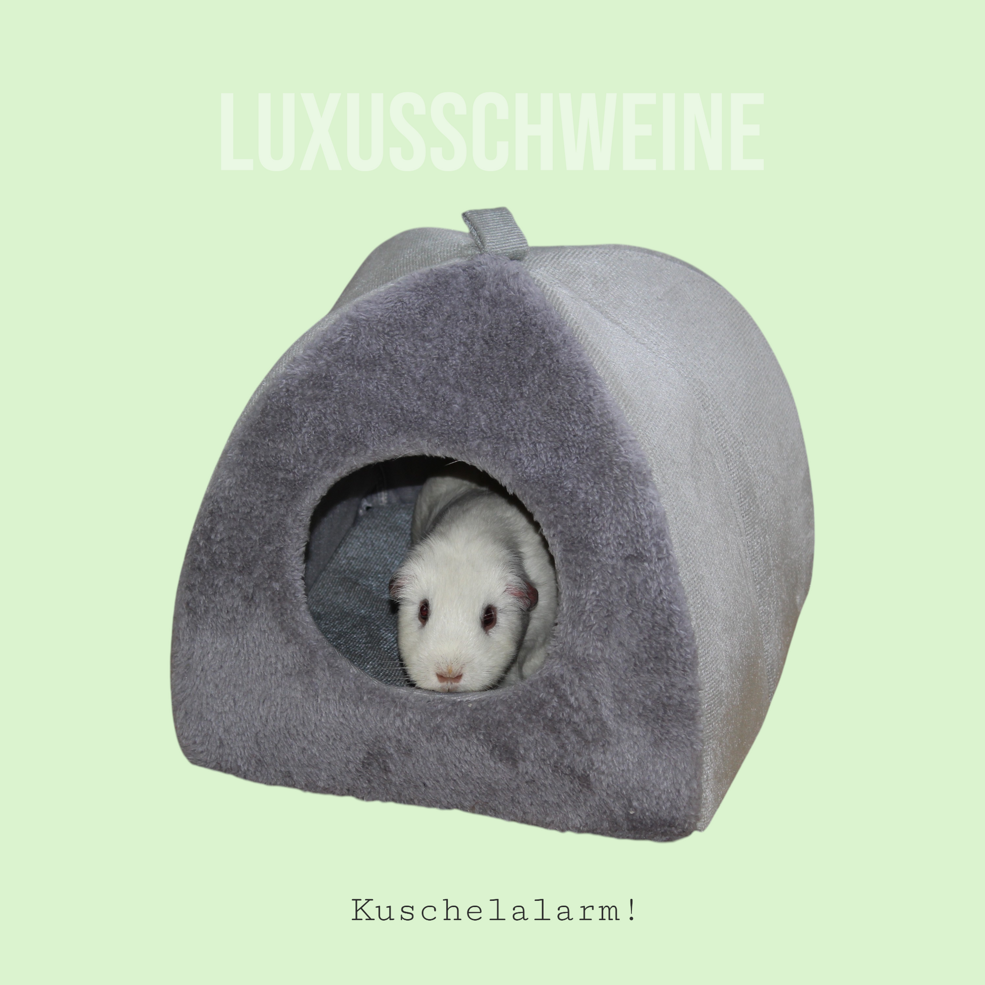 🏠 Kuscheliges Grau – Gemütliches Kuppelhaus für Meerschweinchen