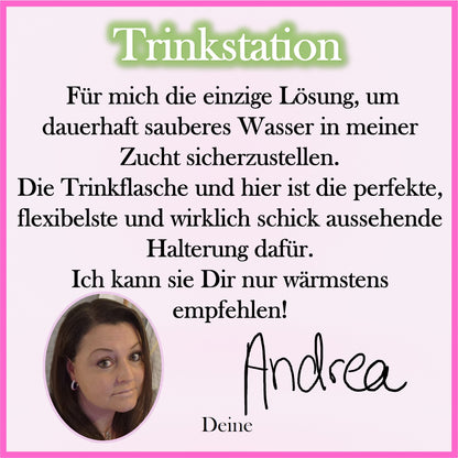 Trinkstation mit Glasflasche