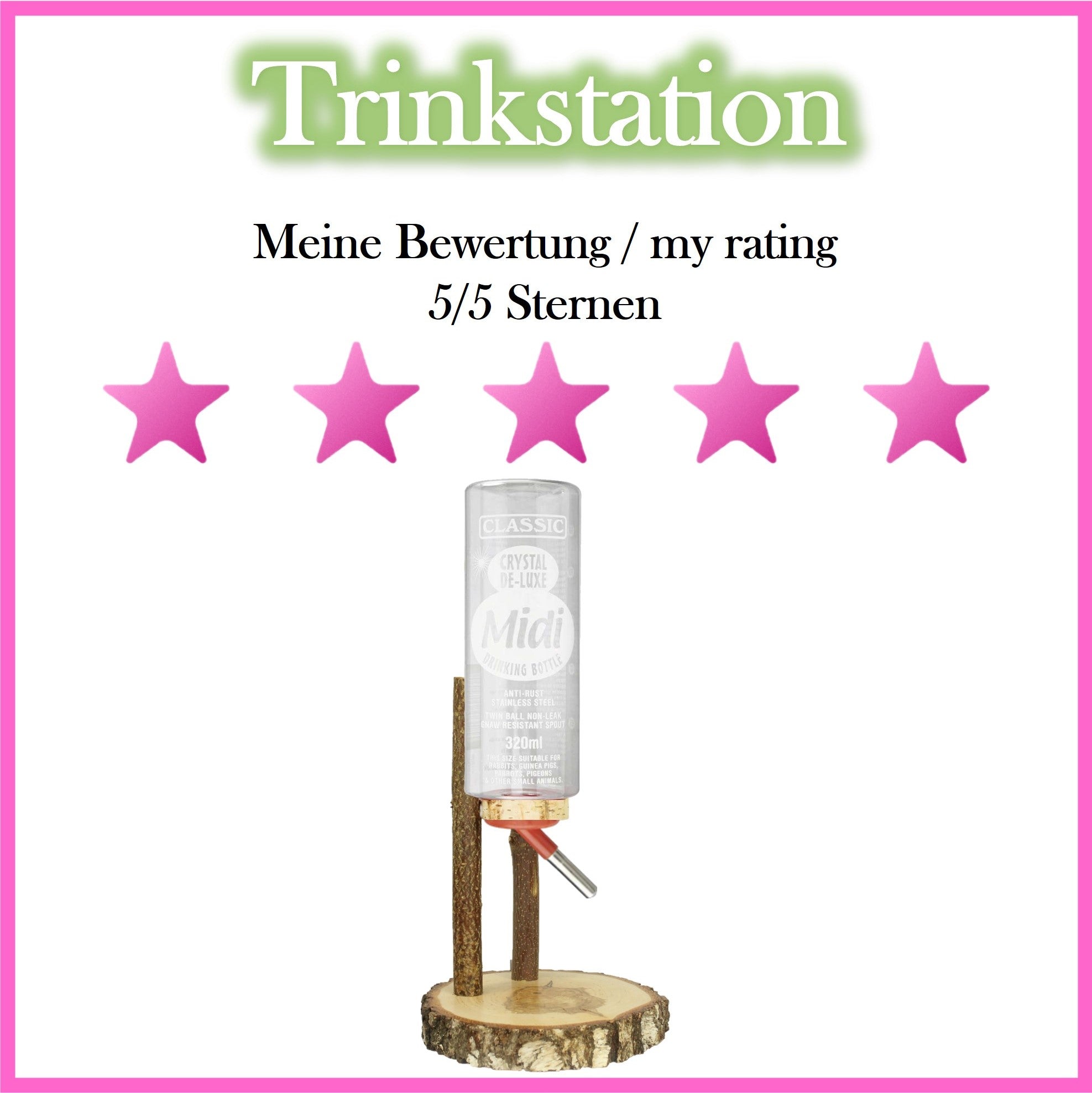 💦 Trinkstationen für Meerschweinchen – sauberes Wasser, einfach & praktisch