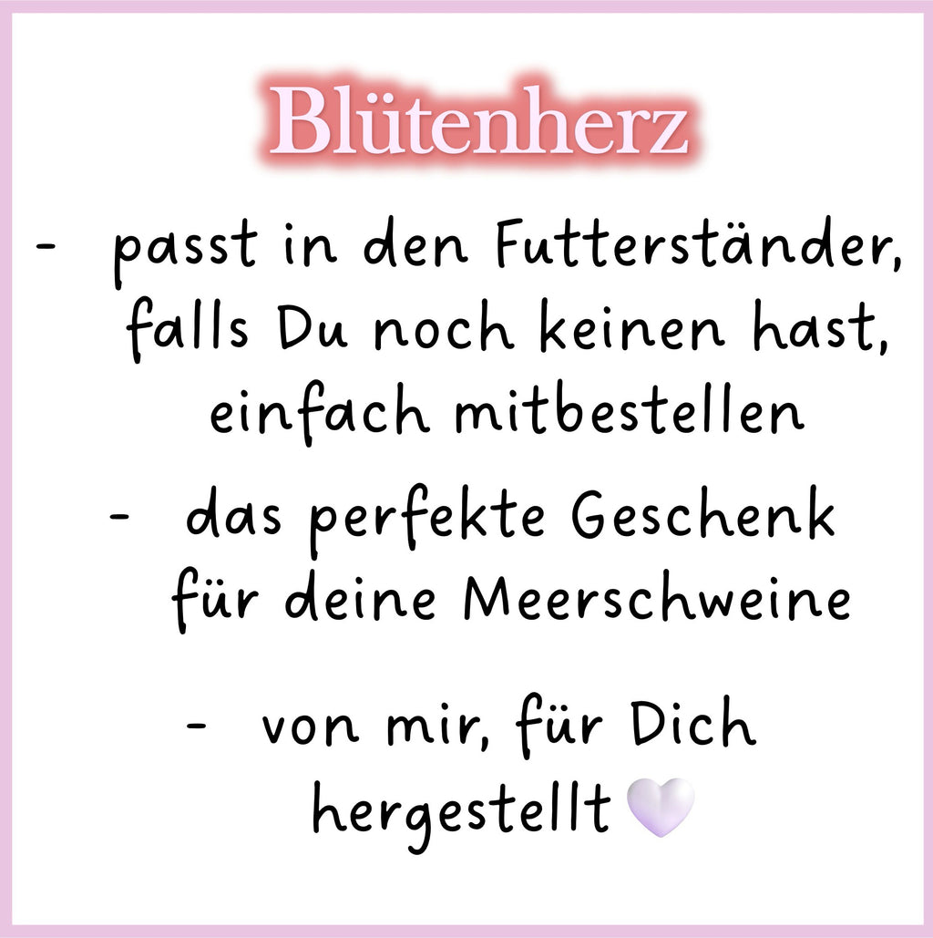 💜 Blütenherz – ein Herzensgruß für deine Meerschweinchen