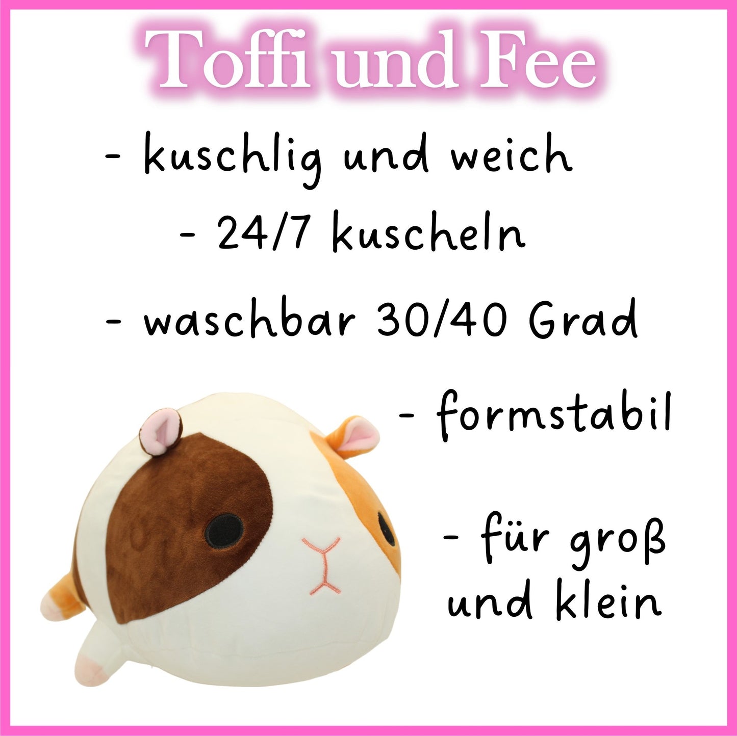 Meerschweine Toffi und Fee