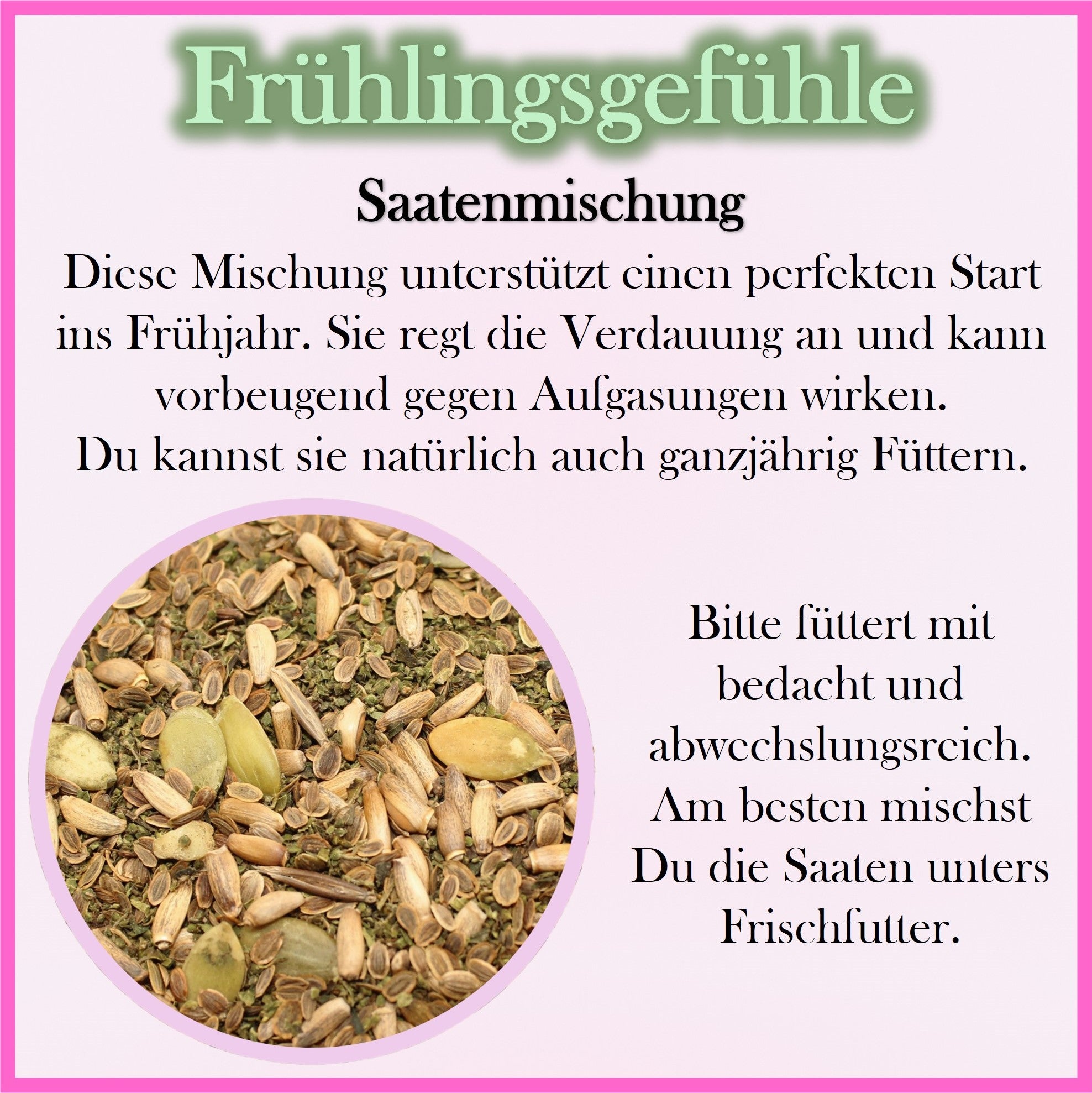 🌷 Saatenmischung Frühlingsgefühle – natürlich durchstarten!